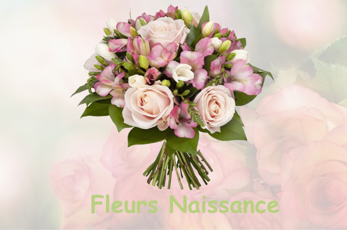 fleurs naissance LA-TRONCHE