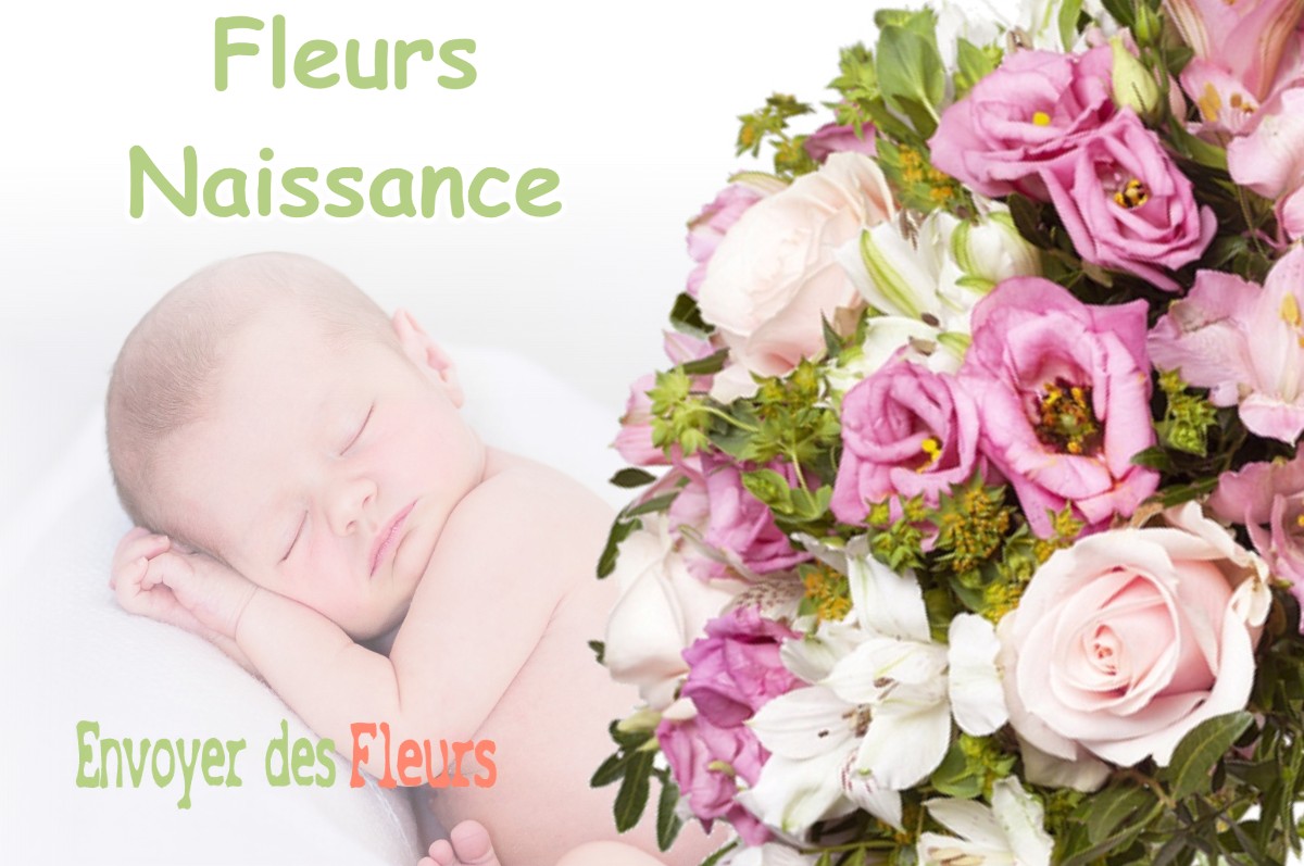 lIVRAISON FLEURS NAISSANCE à LA-TRONCHE